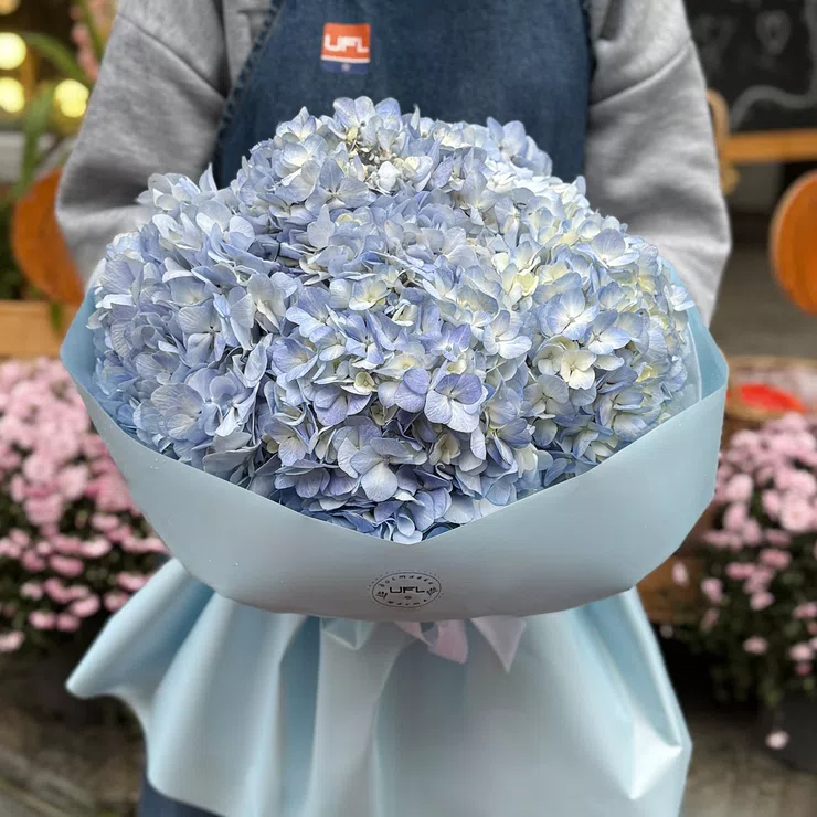 Bouquet of blue hydrangeas 7pcs – flower delivery in Floresti