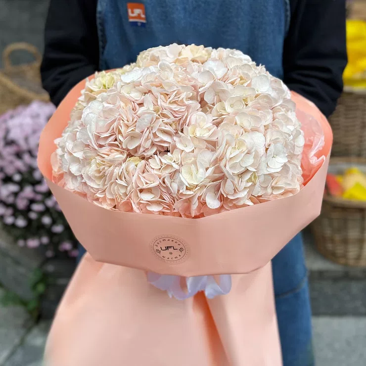 Bouquet of pink hydrangeas 7pcs – flower delivery in Floresti