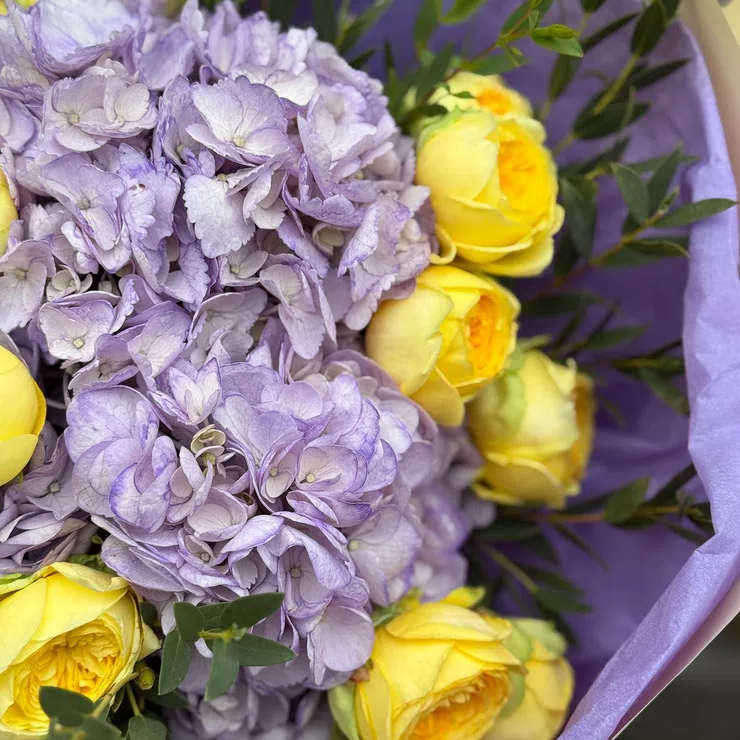 Hydrangeas and Yellow Roses Lavender morning – flower delivery in Penthalaz