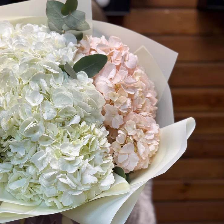 Bouquet of 7 tender hydrangeas – flower delivery in Floresti
