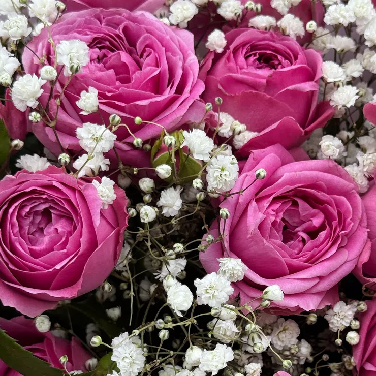 Bouquet Pink wonder Misti Bubbles 9pcs – flower delivery in Toluka