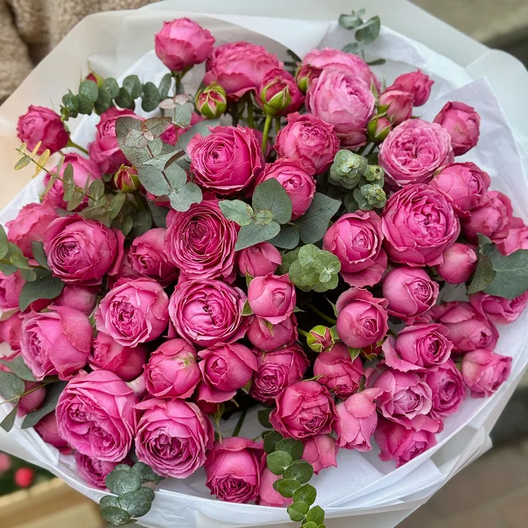 25 pink peony spray roses – flower delivery in Manaus