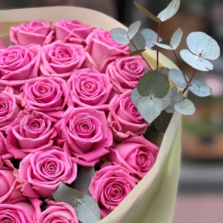 Bouquet of 25 pink roses – flower delivery in Manaus