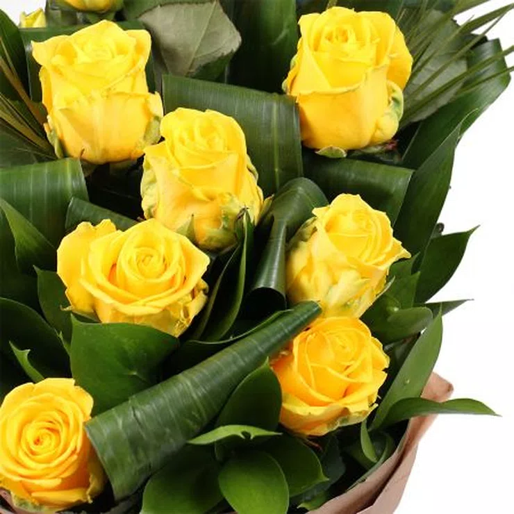 Golden music Yellow roses 13pcs – flower delivery in Bloxham