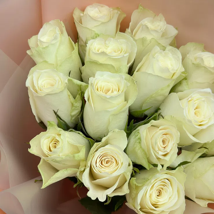 Snow White 15 white roses – flower delivery in Abakliya