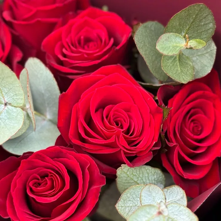15 roses bouquet – flower delivery in Haapsalu
