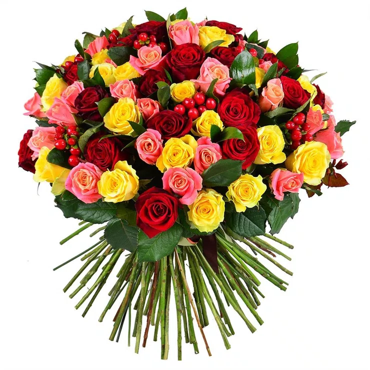 101 multicolored roses – flower delivery in Goiania