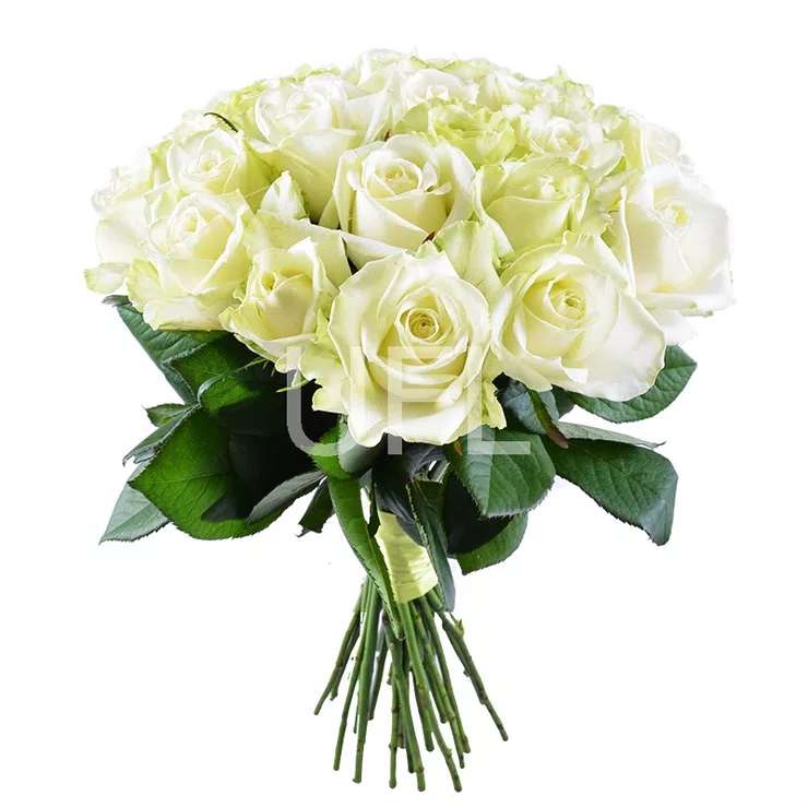  Bouquet Diamond – flower delivery in Rendsburg