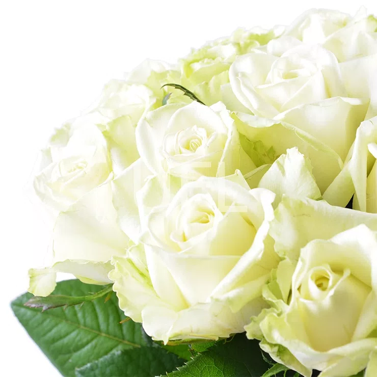 Bouquet Diamond – flower delivery in Belconnen