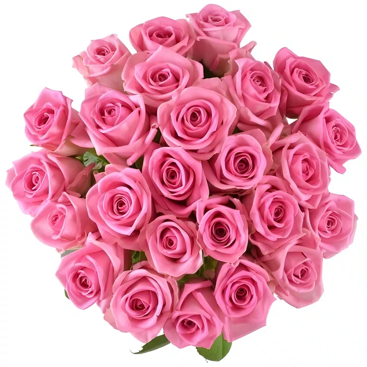 Be with you 25 pink roses – flower delivery in Manaus