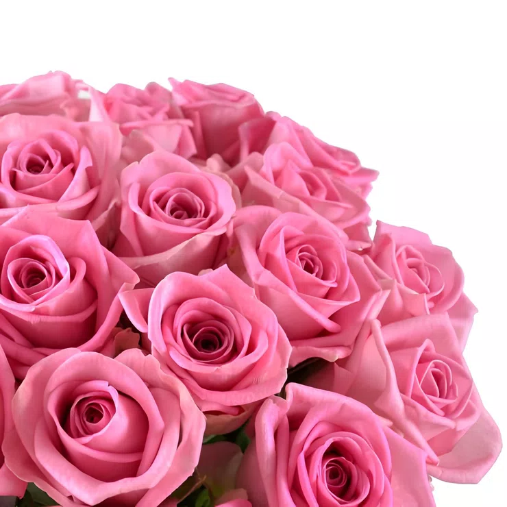 Be with you 25 pink roses – flower delivery in Rozhyshche