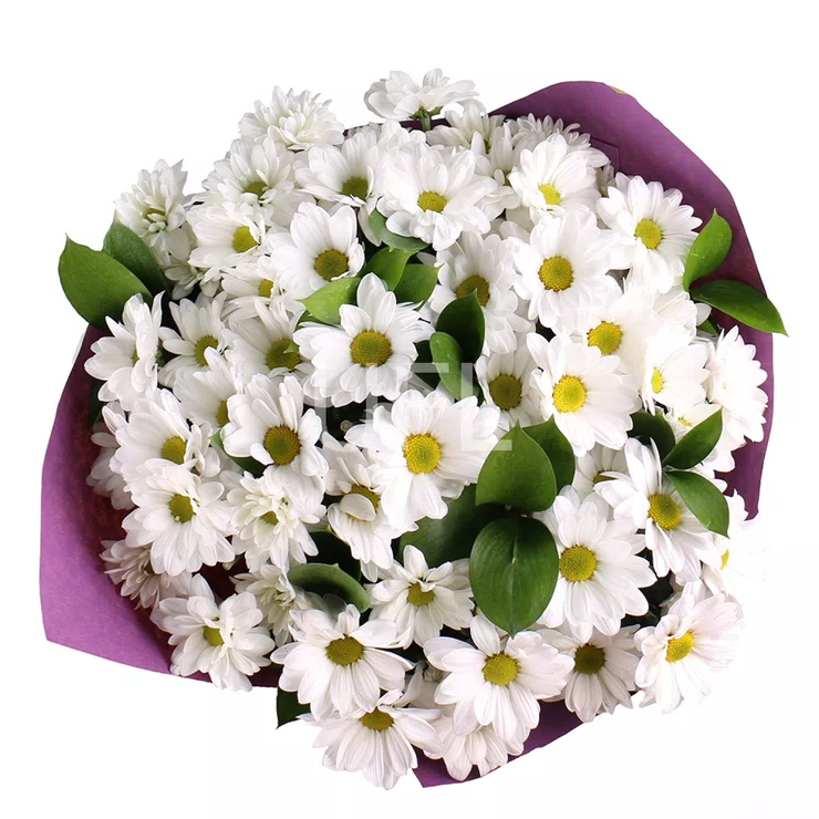 Bouquet of chamomiles 9pcs – flower delivery in Cantemir
