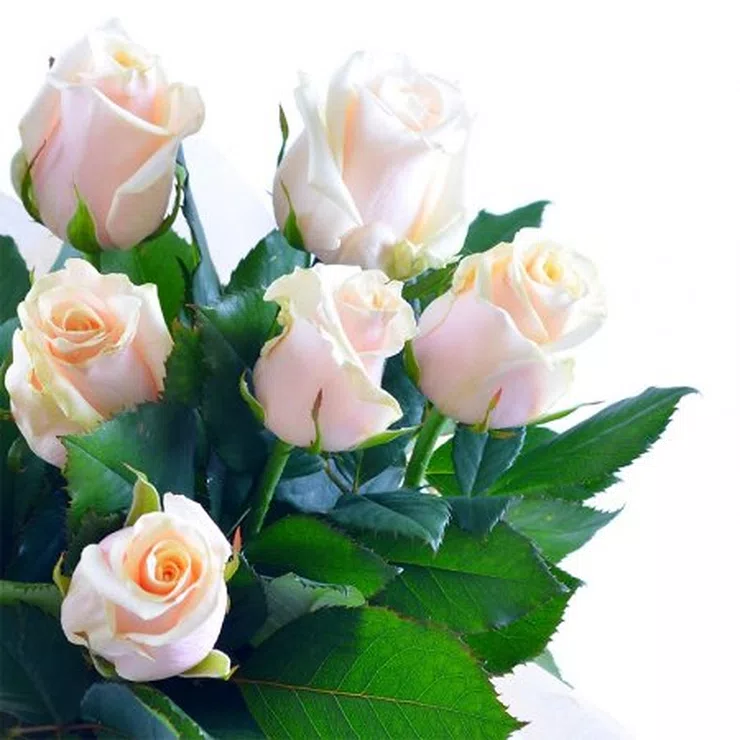 Augustine – flower delivery in Bloxham