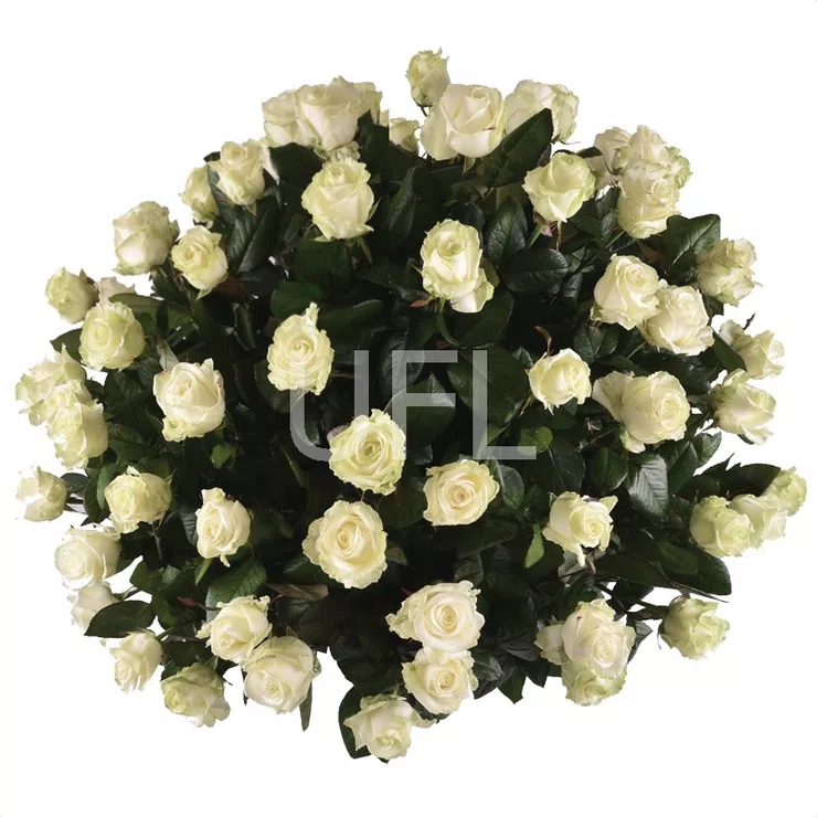Funeral basket of roses – flower delivery in Main Beach