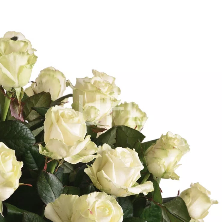 Funeral basket of roses – flower delivery in Ternovka