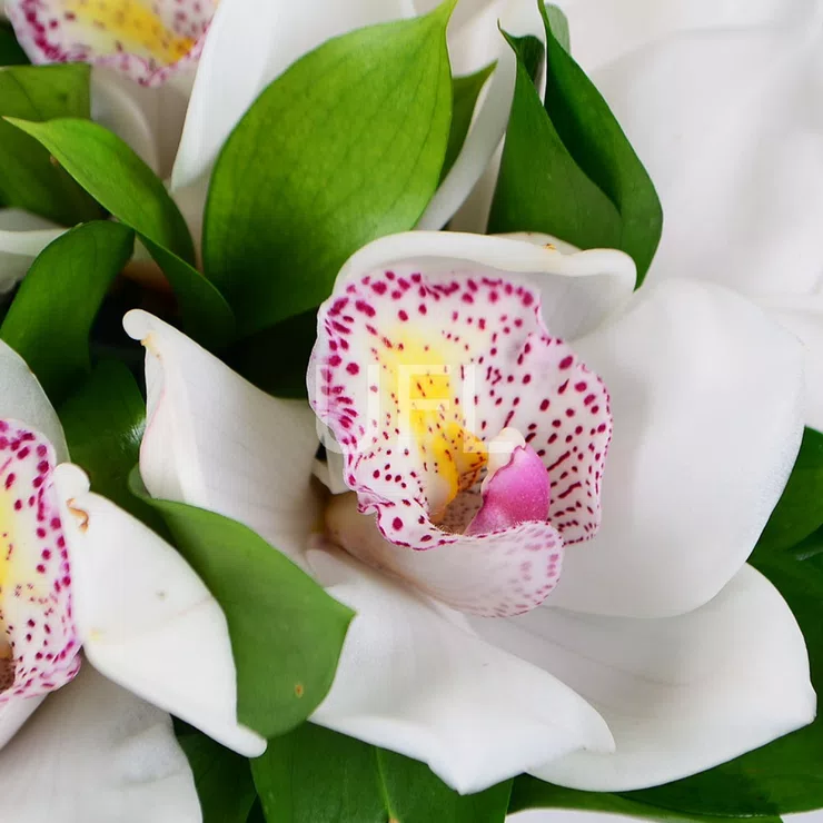 White Orchid wedding bouquet – flower delivery in Matawan
