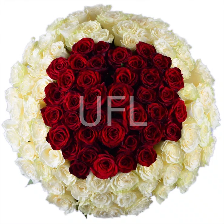 Queen Red and white roses 101pcs – flower delivery in Vasteras