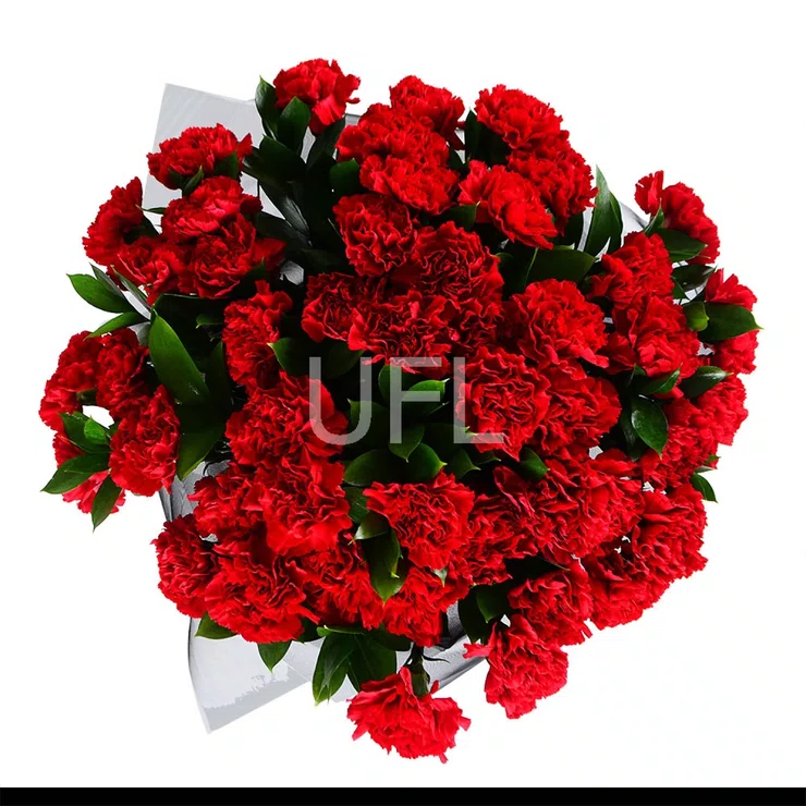 Funeral bouquet with carnations – flower delivery in Main Beach