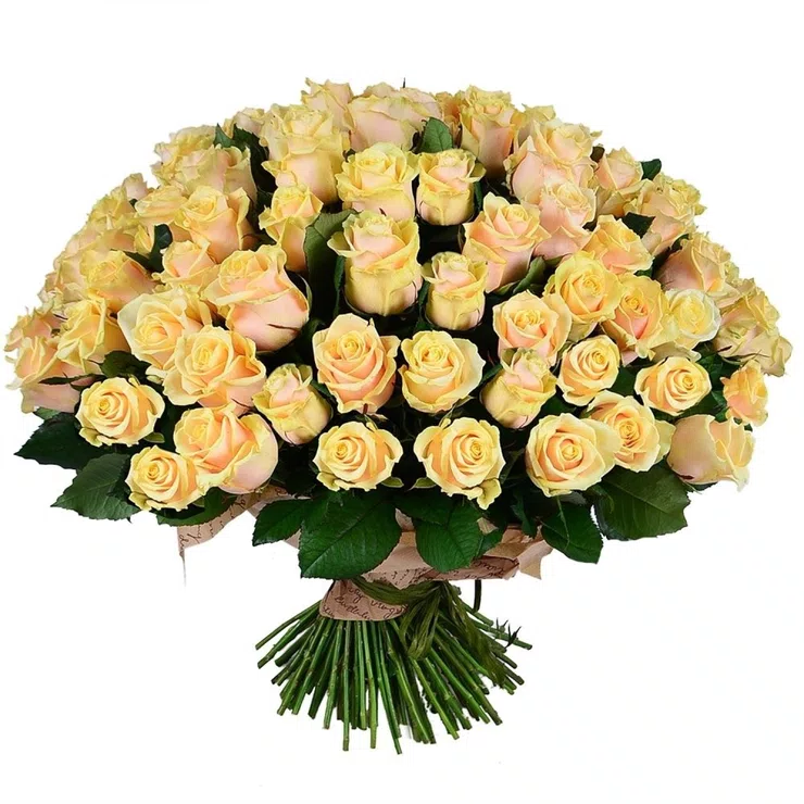 101 creamy roses – flower delivery in Egersund