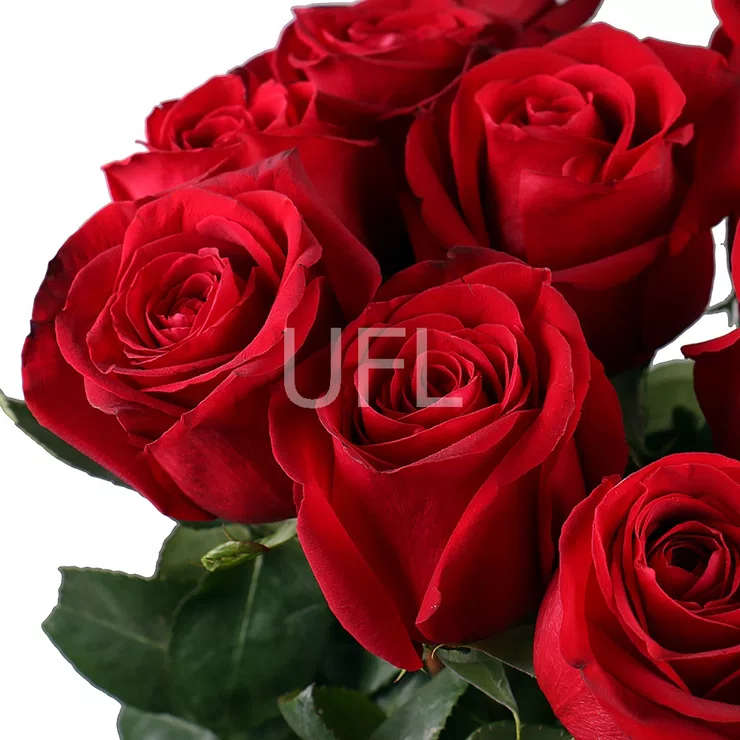 Bouquet of 15 long red roses – flower delivery in Kiev - Shevchenko district