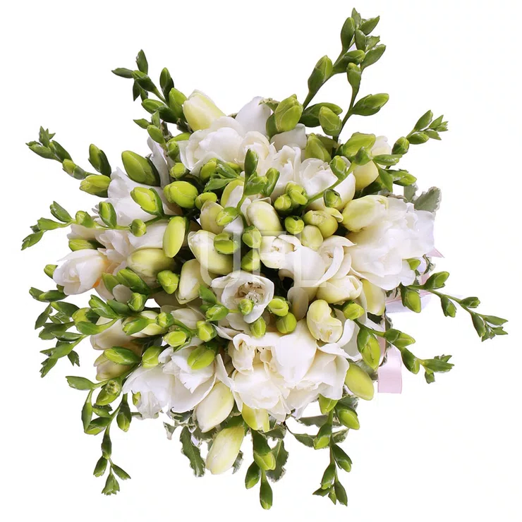 Bouquet of freesies – flower delivery in Antigua Village
