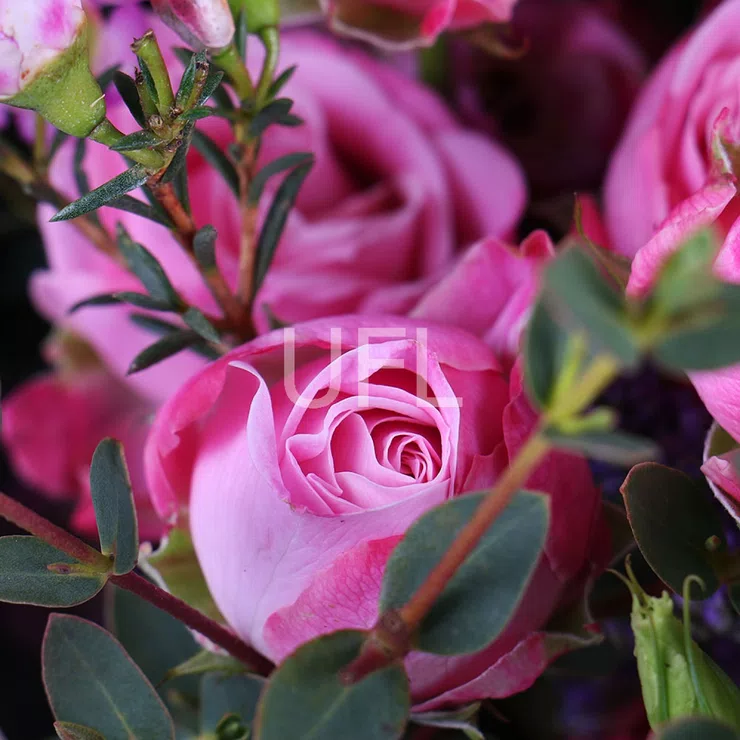 Spring blues – flower delivery in Grant City