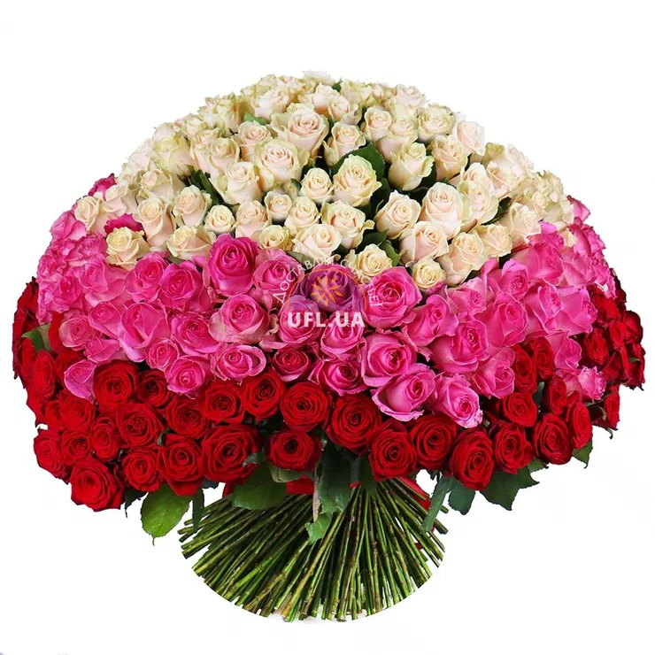 Magic ball of 303 roses – flower delivery in Leskovac