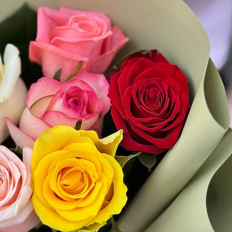 7 multi color roses – flower delivery in Vasteras