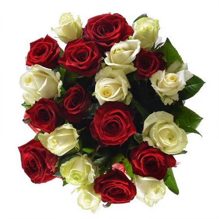 White and red roses – flower delivery in Kolbotn