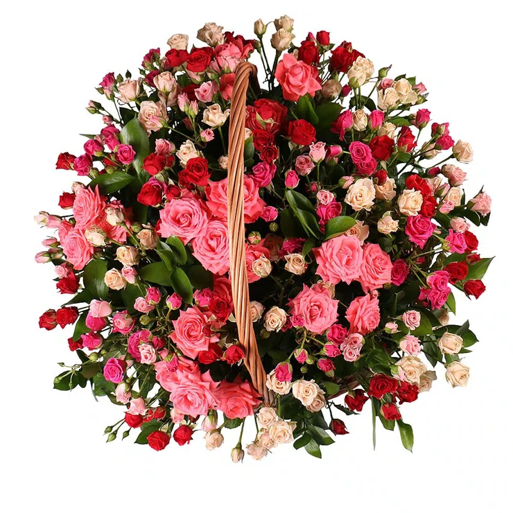 Basket with roses 51pcs – flower delivery in Sao Vicente