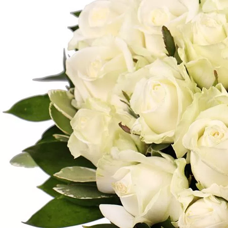 Light cream – flower delivery in Ludza