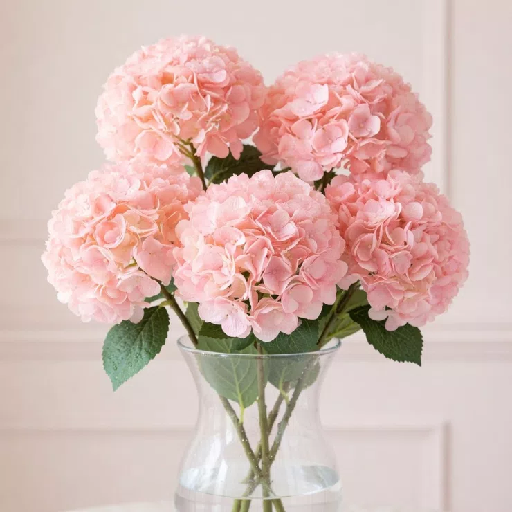 Pink hydrangea by piece – flower delivery in Tahko