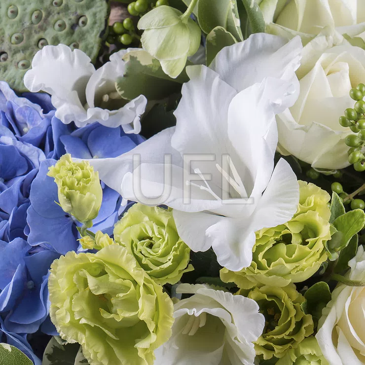 Aquamarine – flower delivery in Dawsonville