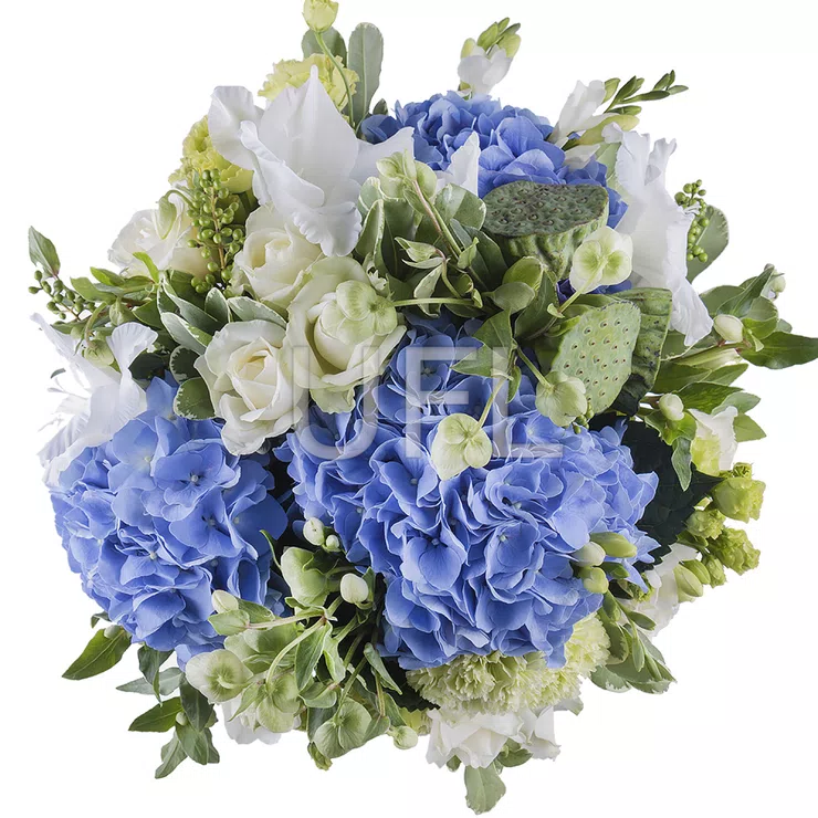 Aquamarine – flower delivery in Santa Maria Capua Vetere