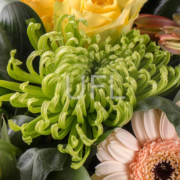 With tenderness – flower delivery in Lavagna
