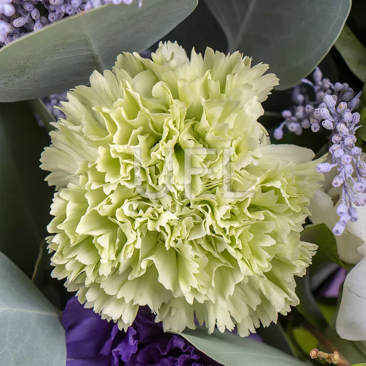 Blueberry night – flower delivery in Tahko