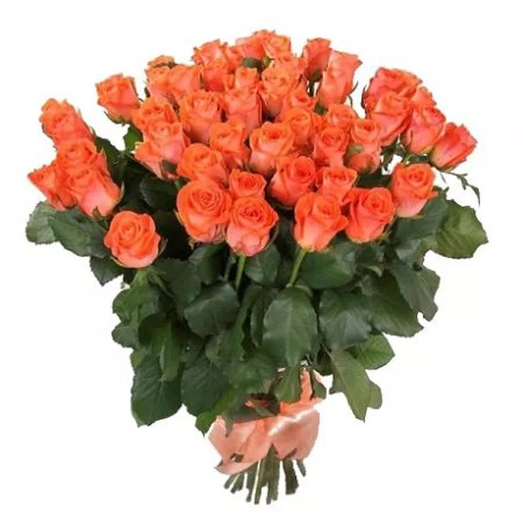 Coral roses by the piece – flower delivery in Bad Bergzabern