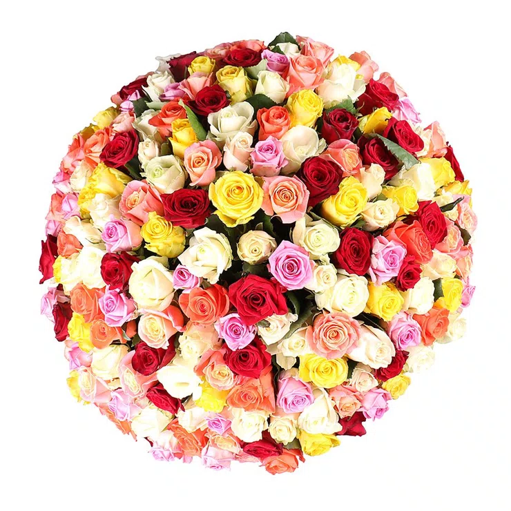 175 multi-colored roses – flower delivery in Vasteras