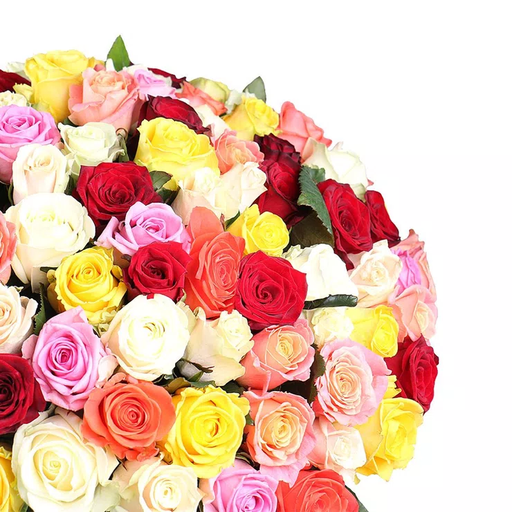 175 multi-colored roses – flower delivery in Dimitrovgrad (Bulgaria)