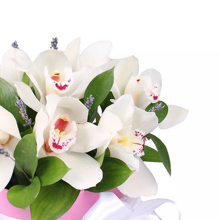 Flower box Tenderness of orchids – flower delivery in Aix-en-Provence
