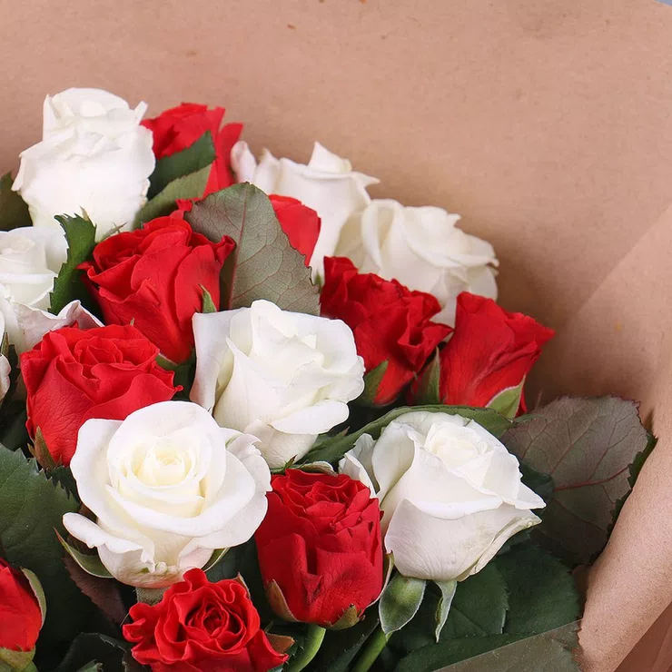 25 red and white roses – flower delivery in Sapporo