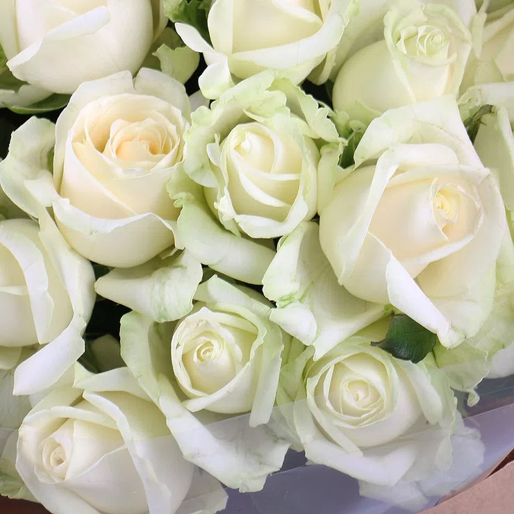 25 white roses craft – flower delivery in Donduseni