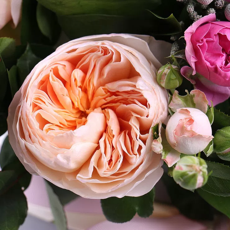 Roses in box 15 pcs Juliet – flower delivery in Toluka