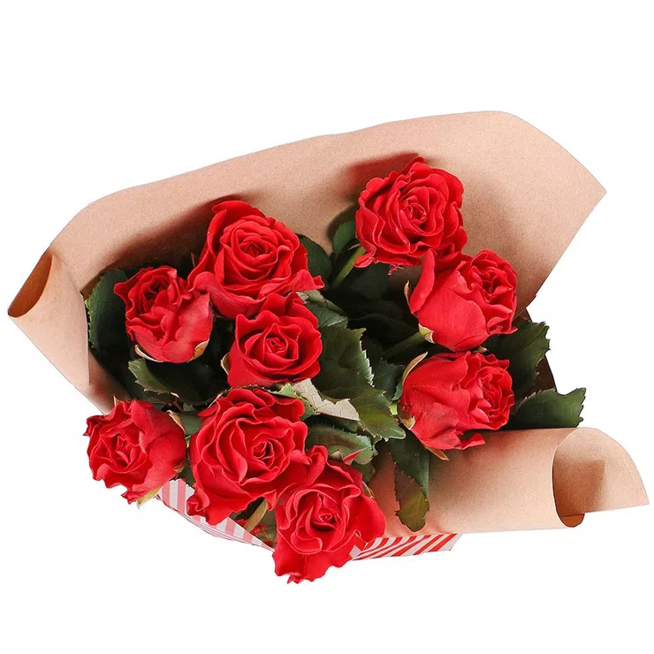 9 red roses – flower delivery in Torquay