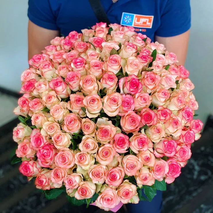 101 white-and-pink roses Jumilia – flower delivery in Pesochin