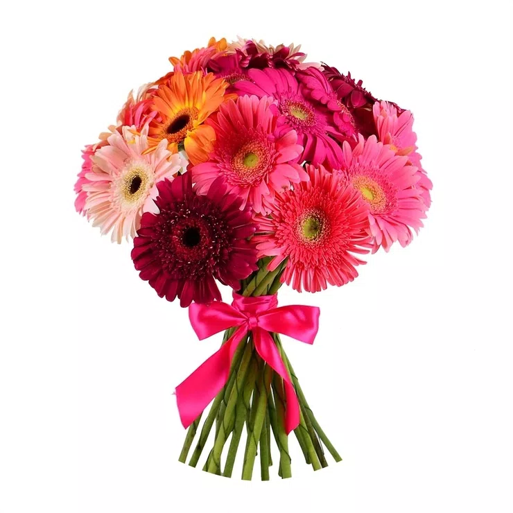 With gerberas – flower delivery in Sharhorod