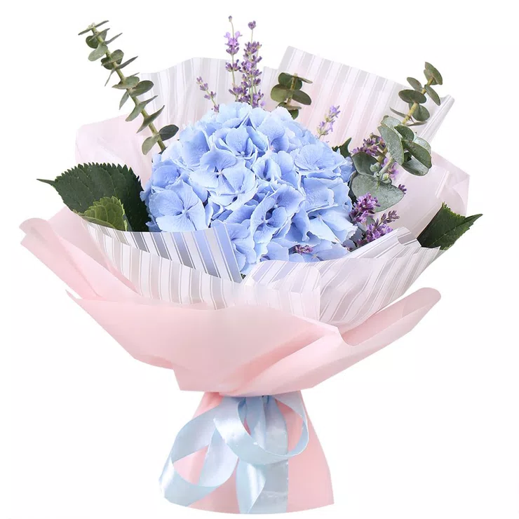 With blue hydrangea 1pcs – flower delivery in Grant City