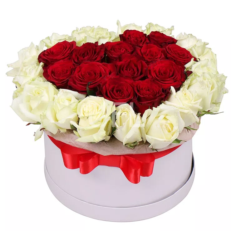 Ruby Kiss 35 red and white roses – flower delivery in Ustilug