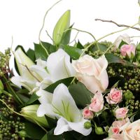 Букет квітів Крем-брюле Дахаб
                            