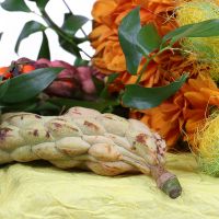 Monkey with Tangerine Drogobich